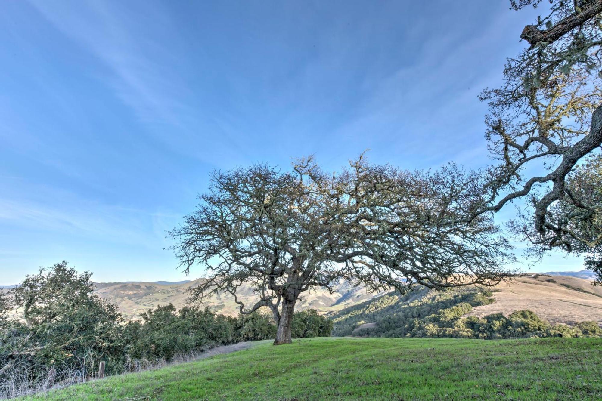 Lx37 Weathertop Ranch In Carmel Wine Country Carmel Valley Buitenkant foto